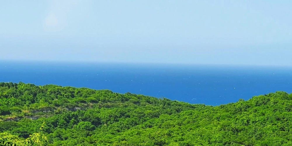 Tamarind Ridge, Duncans, Trelawny, Duncans, Trelawny