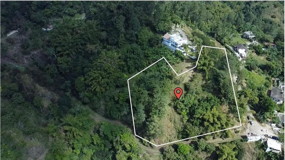 PART OF PETER'S ROCK