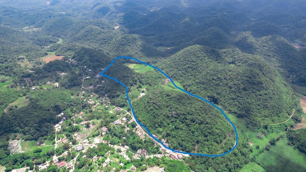 TAVERN HILL, Stewart Town, Trelawny