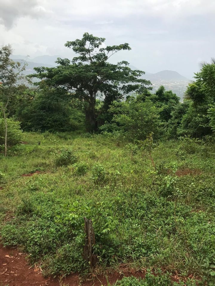 STERLING CASTLE RED HILLS