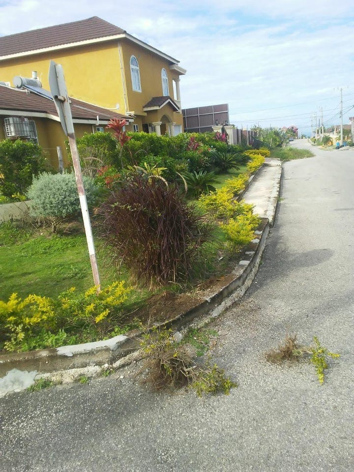 RHYNE PARK, MONTEGO BAY