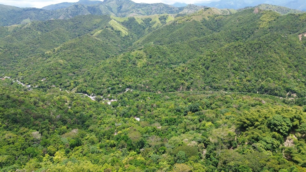 WAMBA FARM, YALLAHS, Yallahs, St. Thomas