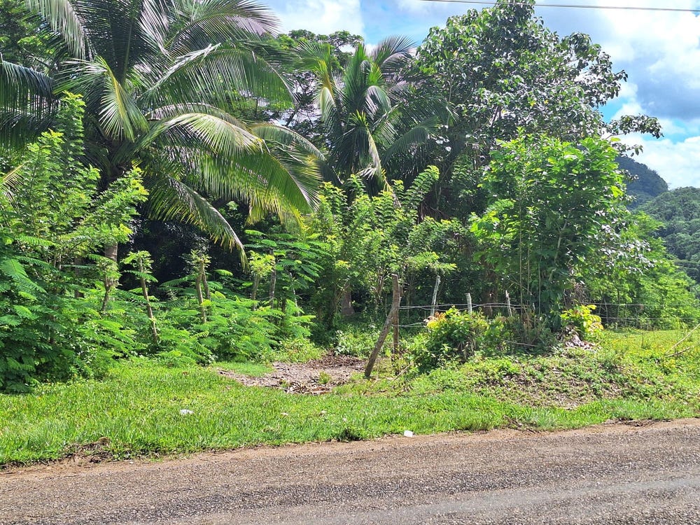 NORTH HALL & TANERCKY