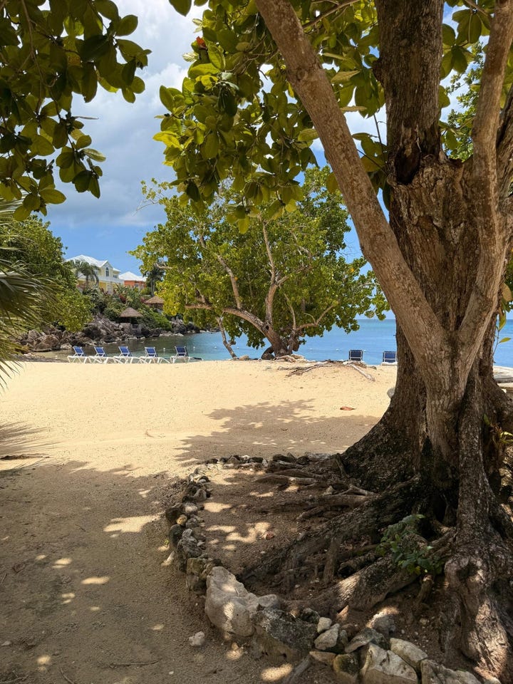 LITTLE BAY COUNTRY CLUB unit: 22-2b, Negril, Westmoreland