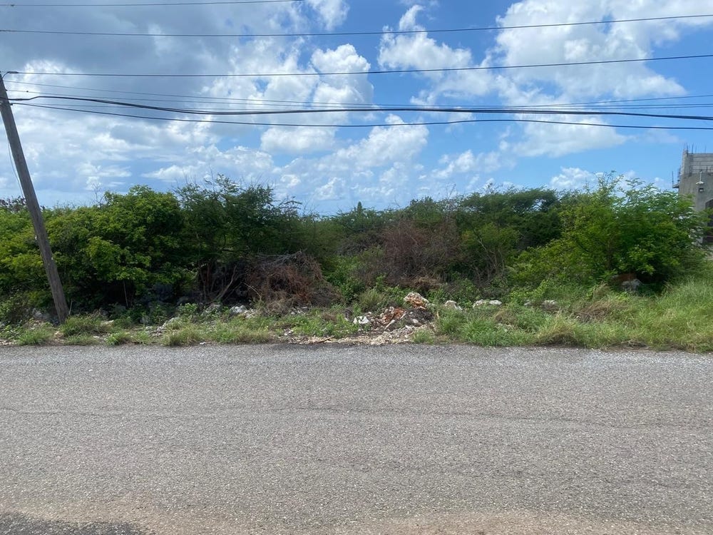 V4R2+423, Woodpecker Ave, Hellshire, Jamaica, HELLSHIRE HILLS, St. Catherine Parish
