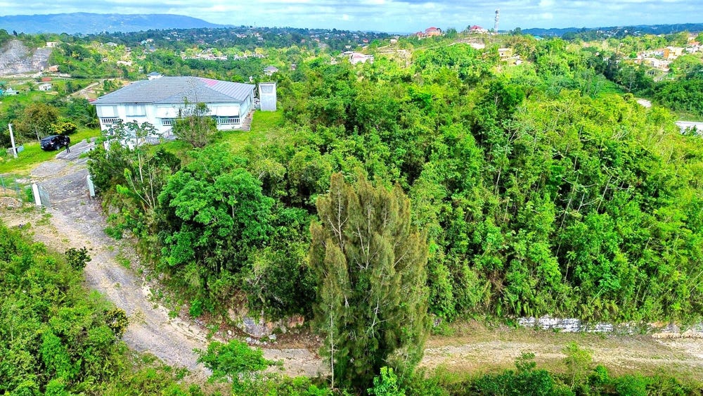 HIBISCUS GARDENS Manchester Mandeville, Mandeville, Manchester, Mandeville, Manchester