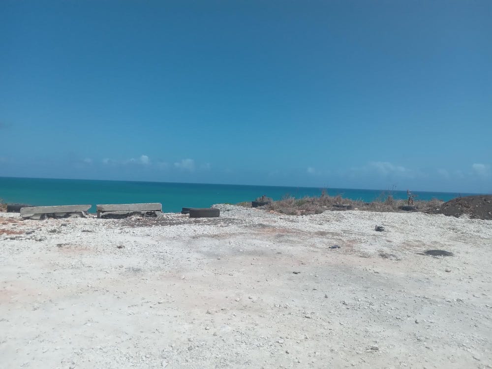 CREIGHTON HALL ESTATE, WHITE HORSES, WHITE HORSES, St. Thomas