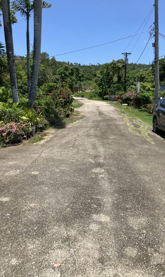 BEACH ROAD CORAL SPRING T lot: 2, Duncans, Trelawny