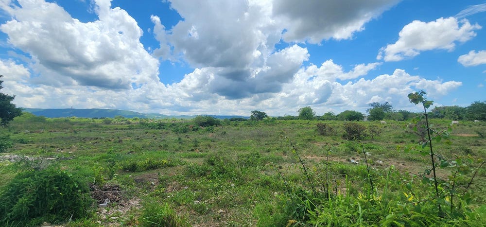 XM9V+PV7, A2, Four Paths, Jamaica, Four Paths, Clarendon