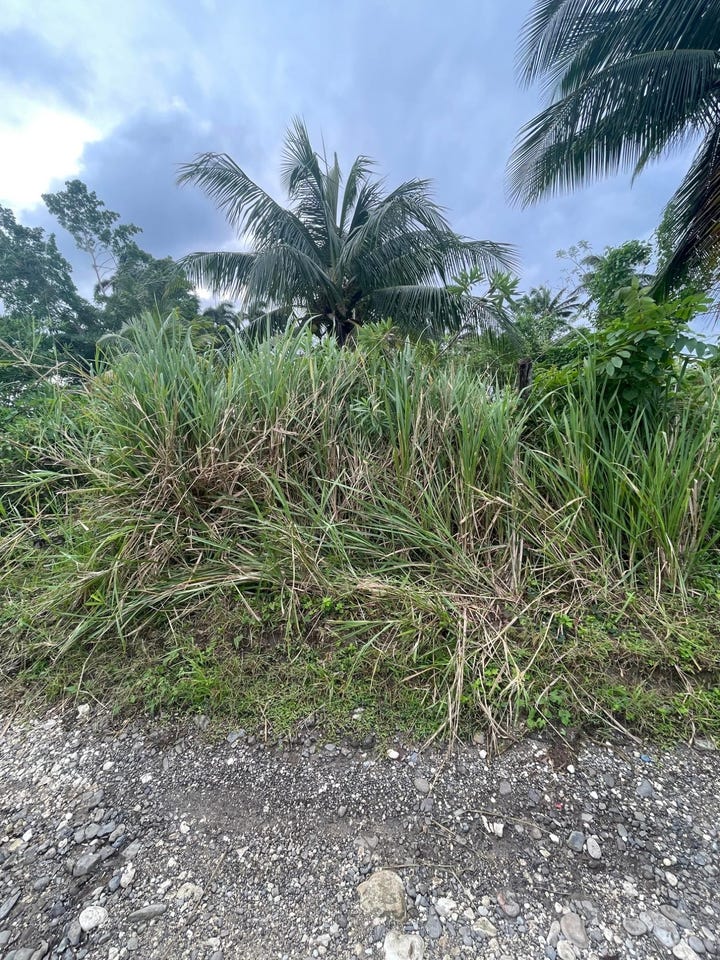 4 FREE HILL RD, ROSLYN PEN, Free Hill, St. Mary