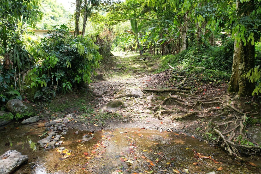 Iron River STONY HILL, Golden Spring P.O., St. Andrew