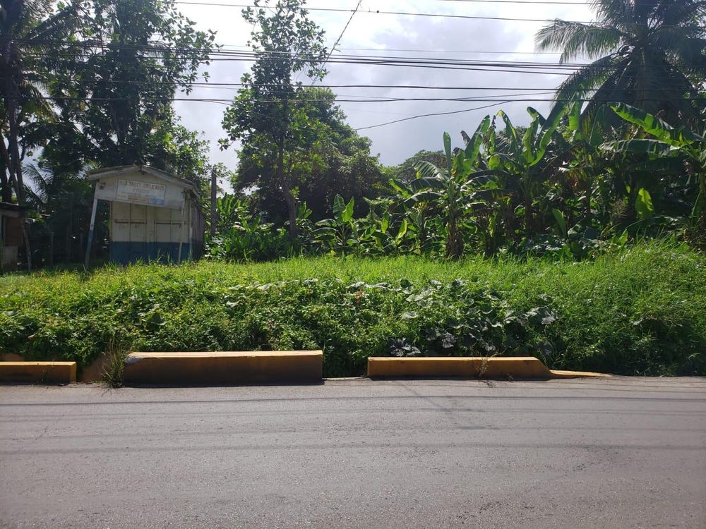 LAND PART OF SANTA CRUZ, Santa Cruz, St. Elizabeth