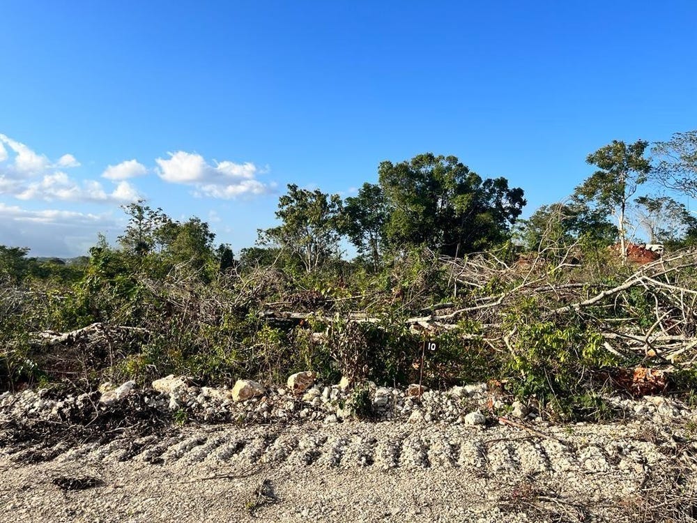 XFHV+MWV, Knockpatrick, Jamaica, Knockpatrick, Manchester Parish