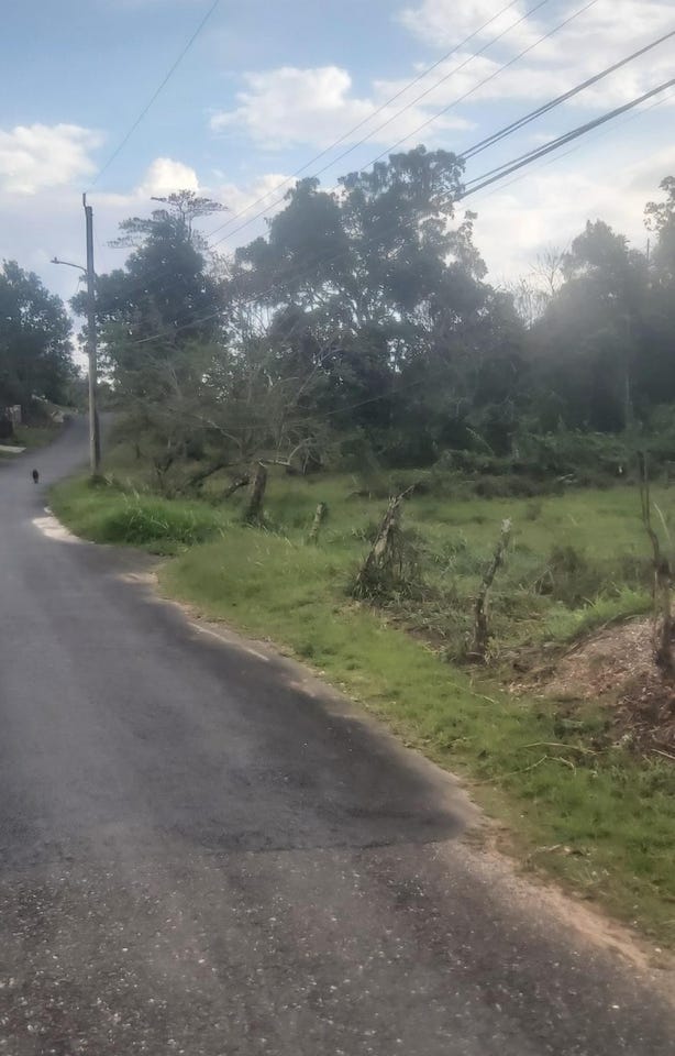 MCKINLEY DRIVE, BRUMALIA