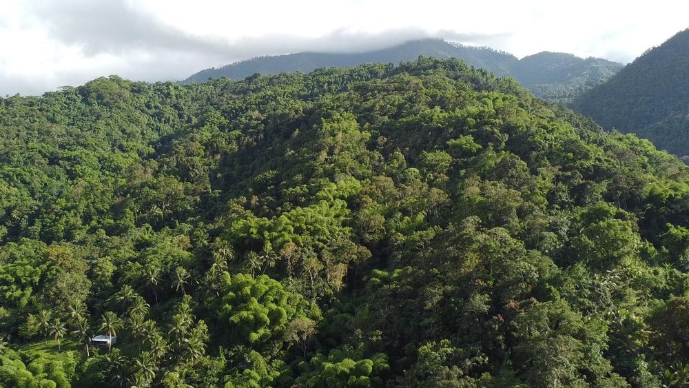 SWIFT RIVER, PORTLAND