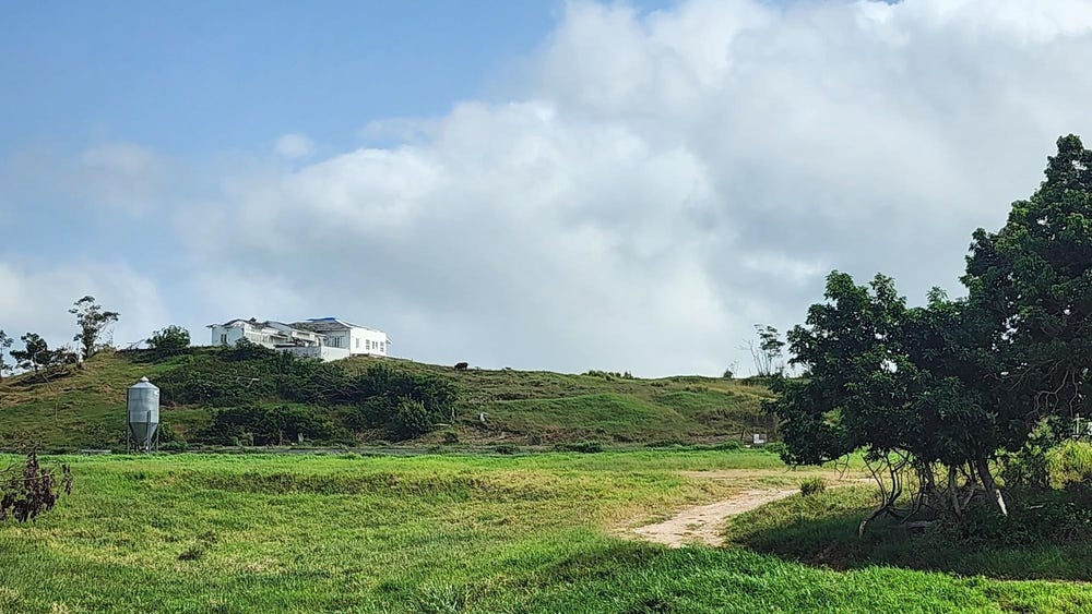 CHIPPENHAM PARK, Bamboo, St. Ann