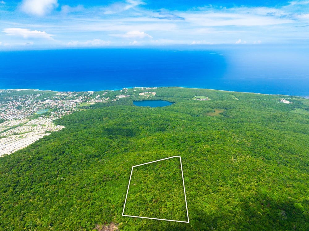 BELLE AIR AND HOPWELL