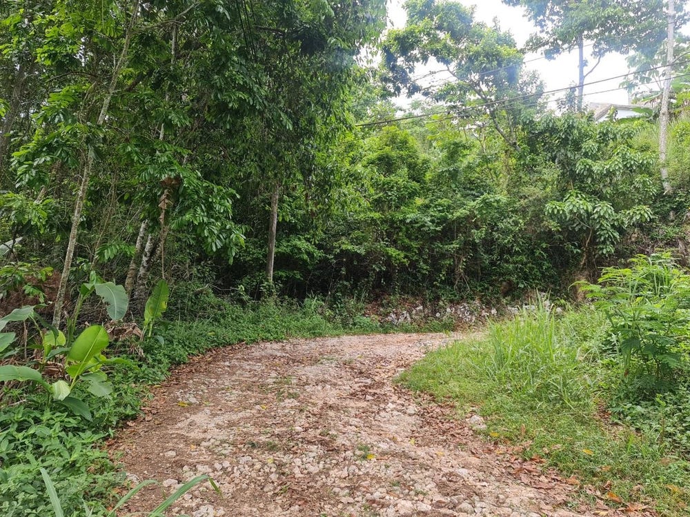 Lot 207D COOPERS HILL, Red Hills, St. Andrew