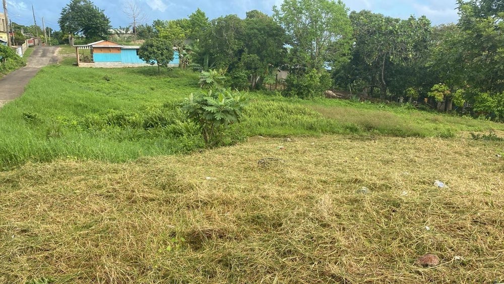 BEECHER TOWN SALISBURY ST