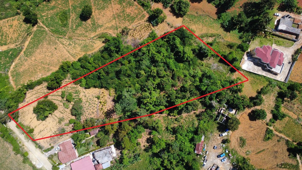 DENHAM FARM lot: 25, Christiana, Manchester