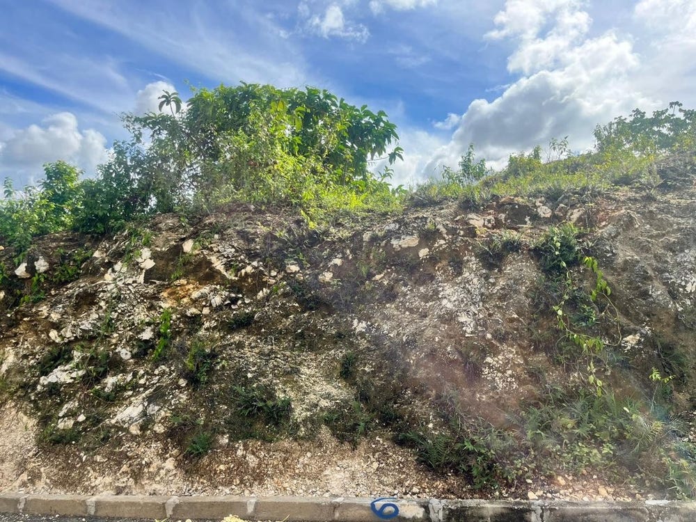 4XCW+4CQ, Church Rd, Tulloch, Jamaica, Linstead, St. Catherine Parish