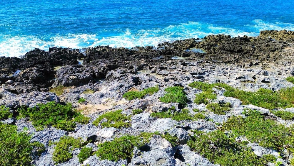 ORANGE HILL Westmoreland Negril, Negril, Westmoreland, Negril, Westmoreland