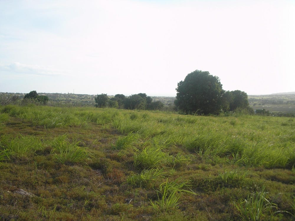 Round Hill Road, Treasure Beach, St. Elizabeth Parish