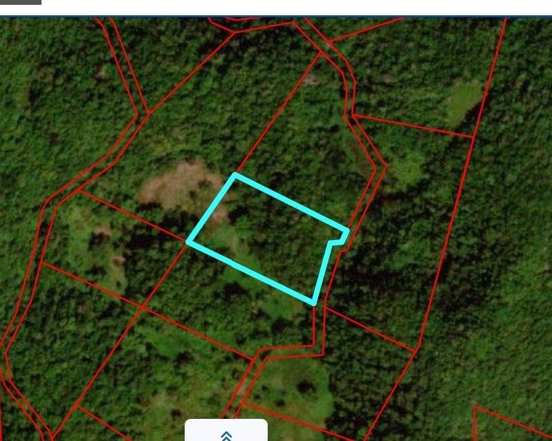 UNITY lot: 194, Bunkers Hill, Trelawny