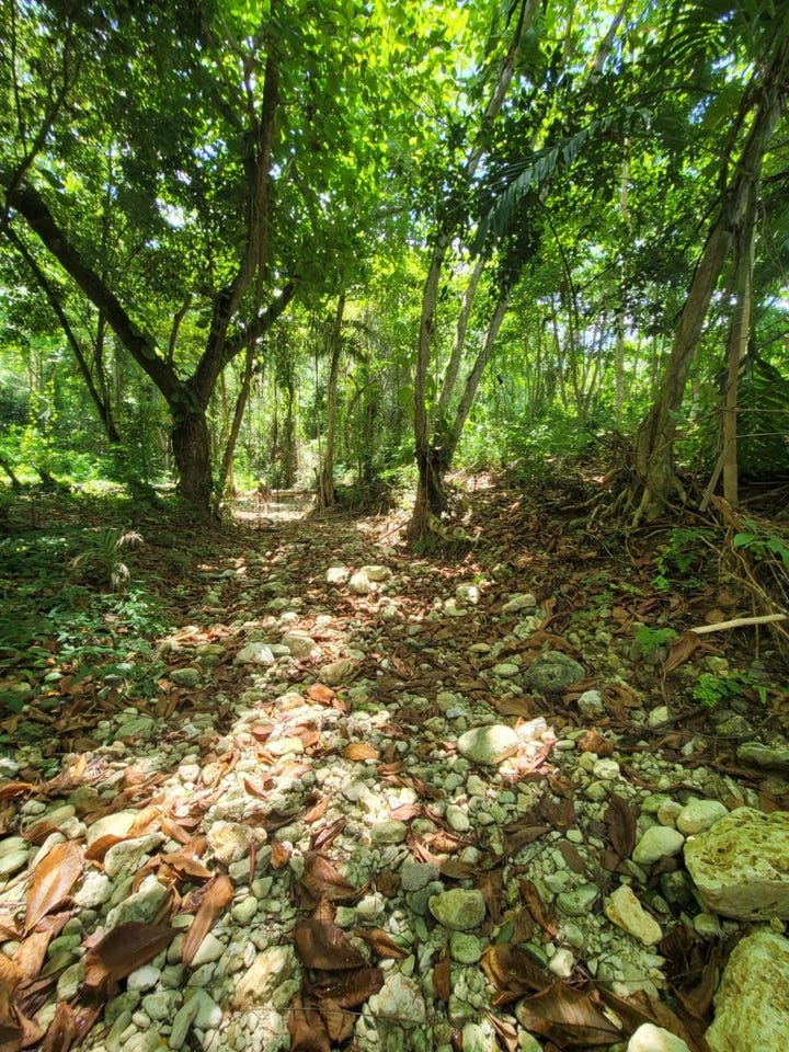 CRG2+93, Runaway Bay, St. Ann Parish