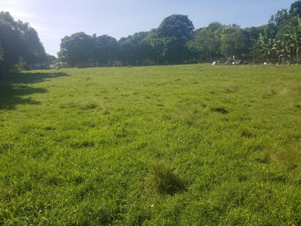 LOWER WORKS, BLACK RIVER