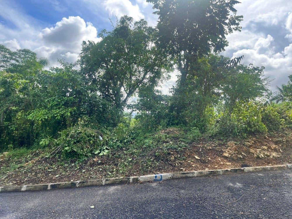 4XCW+4CQ, Church Rd, Tulloch, Jamaica, Linstead, St. Catherine Parish