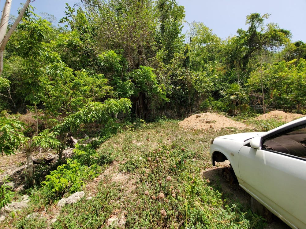 WILDERNESS, ORACABESSA, S unit: 11, Oracabessa, St. Mary
