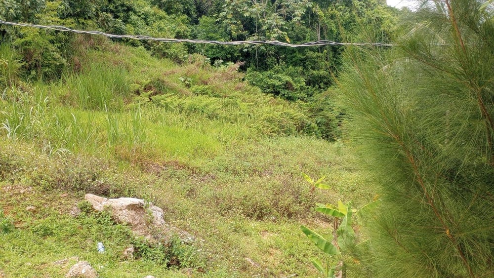 PART OF CHANTILLY MANCHES