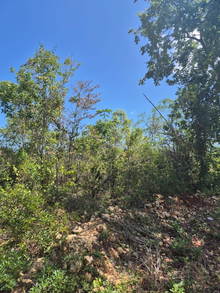 Huddersfield to Mango Valley Road, Huddersfield Heights, St. Mary Parish