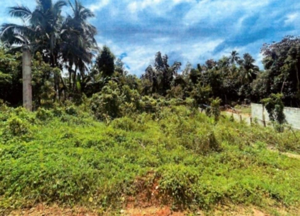 LAND PART OF MICKLETON, L, Linstead, St. Catherine