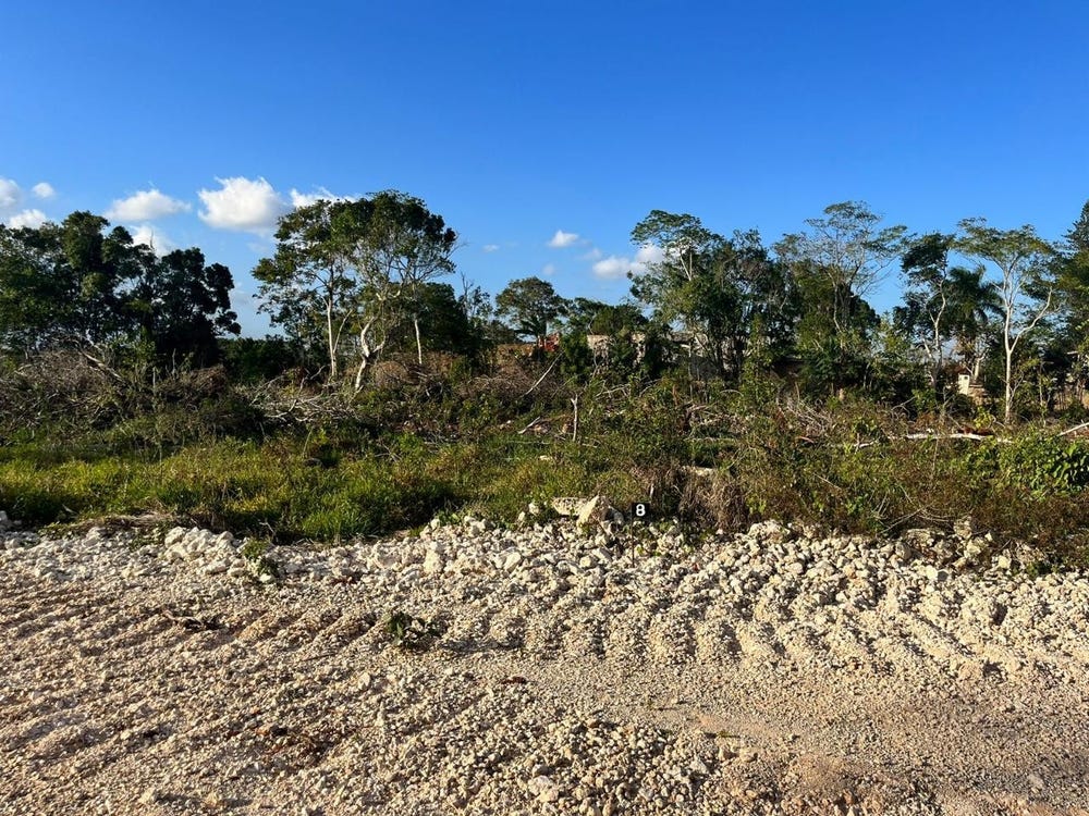 XFHV+MWV, Knockpatrick, Jamaica, Knockpatrick, Manchester Parish