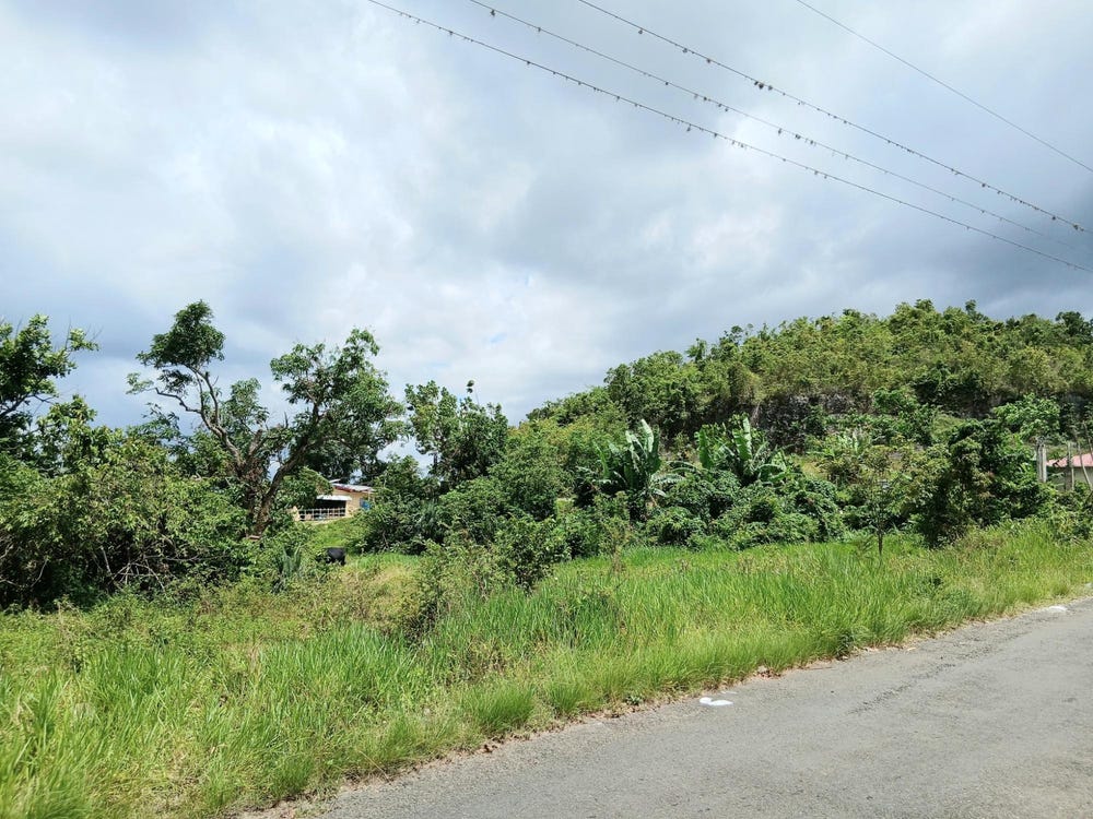 BURNT GROUND, Santa Cruz, St. Elizabeth