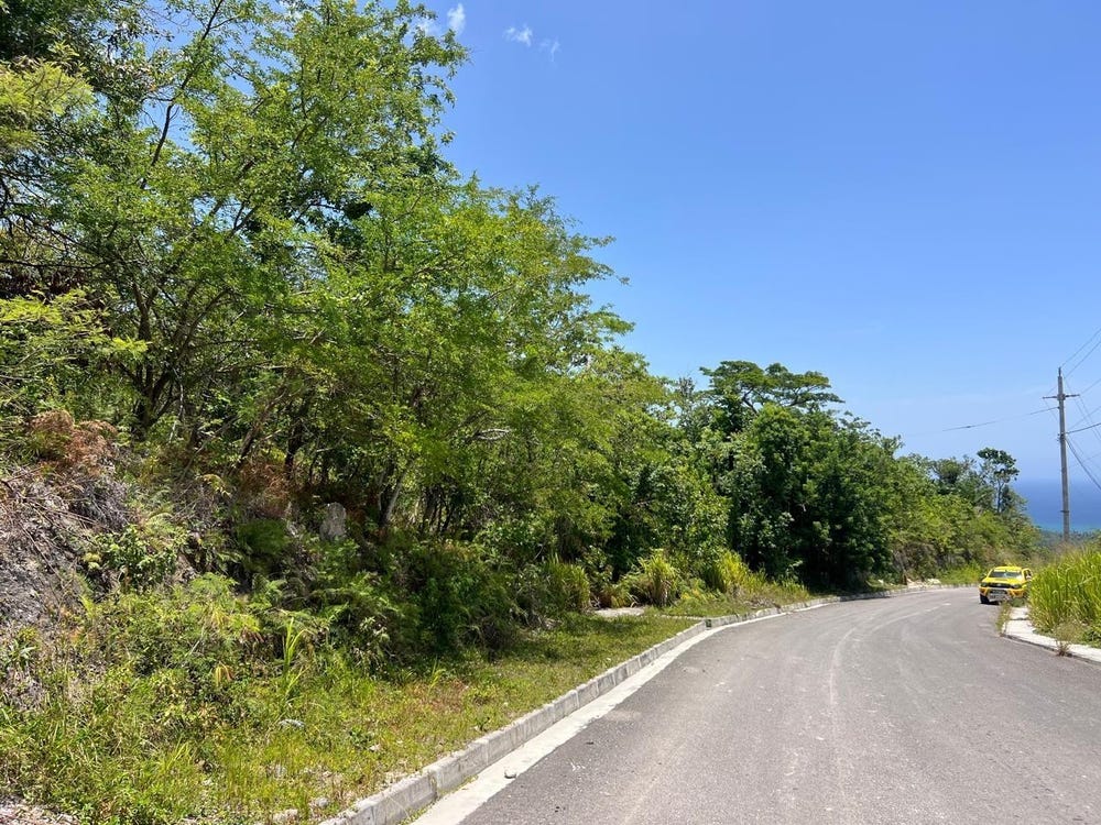 DRAX HALL ESTATE, ST ANN lot: 54A, Drax Hall Estate, St. Ann