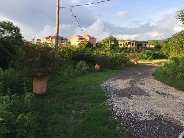 TREADLIGHT, EVANS HEIGHTS