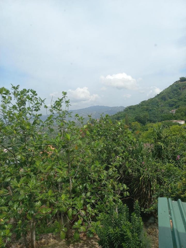 HARRIMAN CLOSE, JACKS HIL lot: 6, Kingston 6, St. Andrew