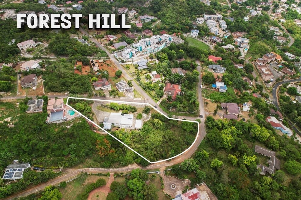 FOREST HILL , RED HILLS