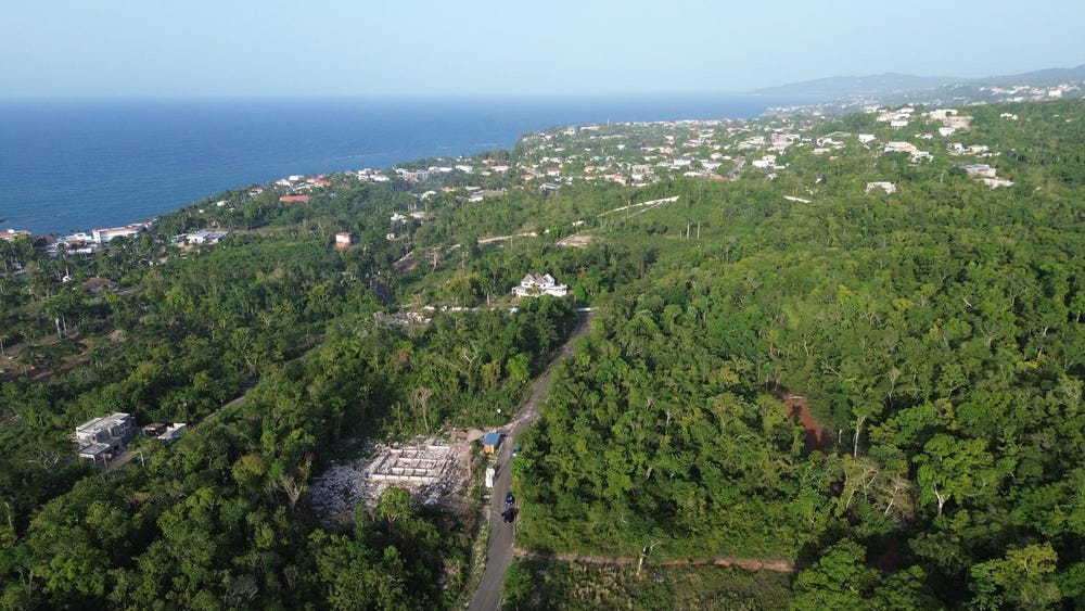 ROYSTONEA, TOWER ISLE, Tower Isle, St. Mary