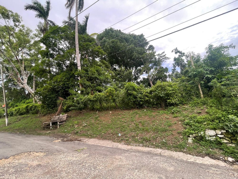 5 FREE HILL RD, ROSLYN PEN, Free Hill, St. Mary