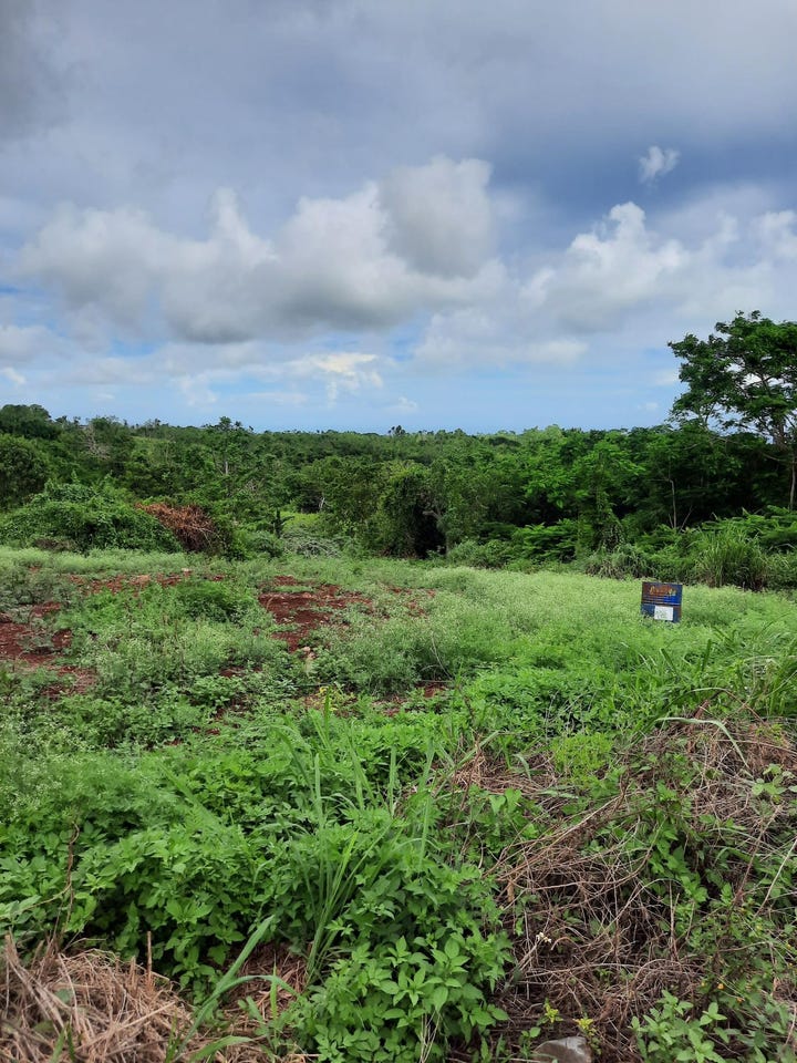 WARWICK, Cross Keys, Manchester Parish