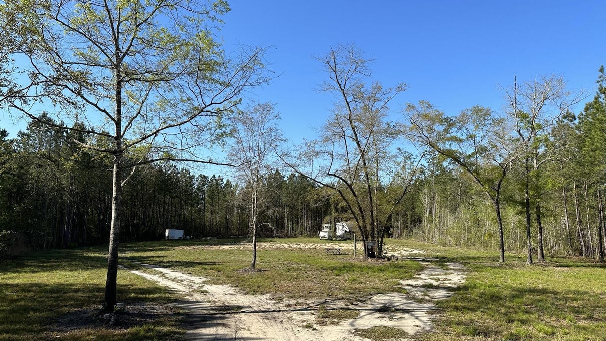 995 Sardis Road, Ridgeland, SC 29936 Land for Sale