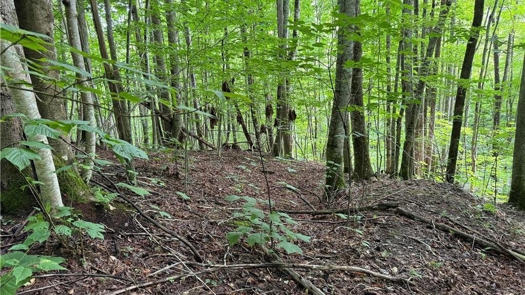 Lot 3 Buckeye Rdg Rd