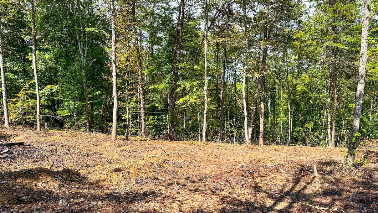 0 Fisher Ridge Rd Tract 2  