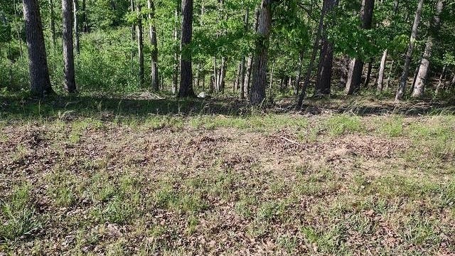 Lot 825 INDEPENDENCE  