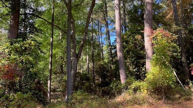 Lot 868 BROADSIDE DR  