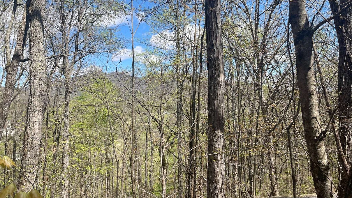 31a Mountain Harbour Dr  